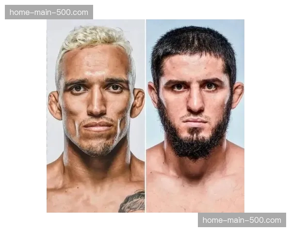 深度复盘:UFC 300“马哈切夫vs. 奥利维拉”二番战中的地面缠斗博弈 深度复盘:UFC 300“马哈切夫vs. 奥利维拉”二番战中的地面缠斗博弈